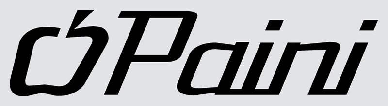Paini – лидер в секторе сантехнического оборудования